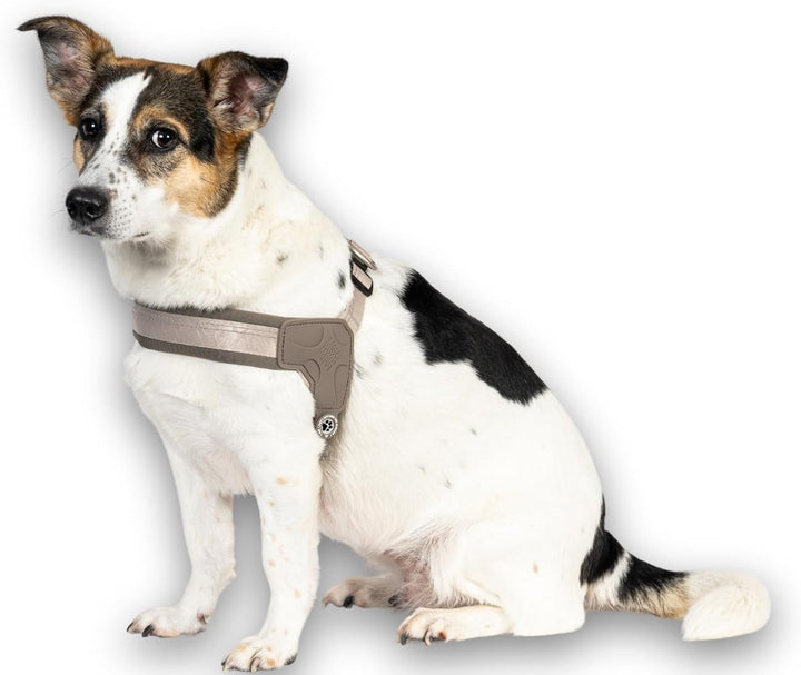 Max &amp; Molly Q-Fit Hundegeschirr Kleine Hunde mit Gotcha! Smart ID Sicherheitsanhänger, Matrix 2.0 Sa
