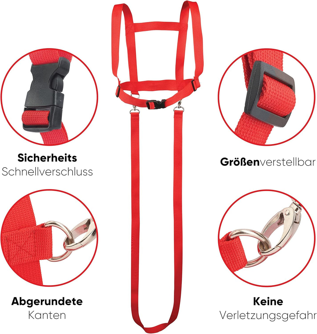 Pferdeleine zum Spielen für Kinder - Sicheres Pferdegeschirr - Reissfest & Langlebig - Für 3 bis 12
