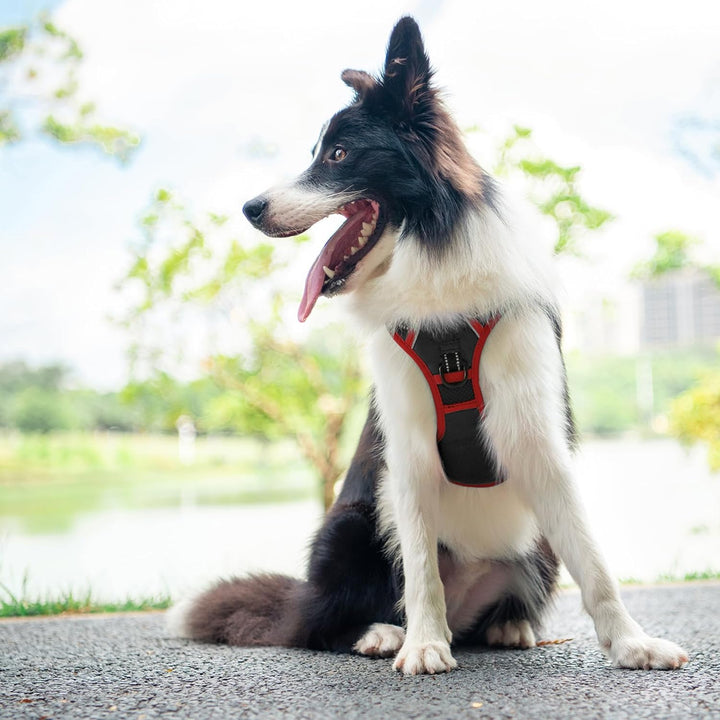 PHOEPET Verbessertes Hundegeschirr ohne Zug, reflektierende, verstellbare Weste, mit Trainingsgriff
