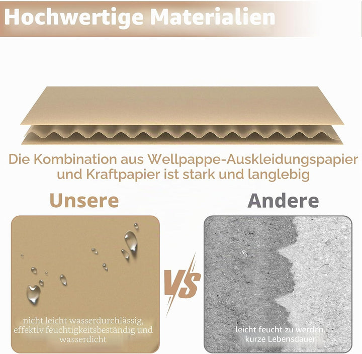 SUBTLETY 10 Stück Schuhboxen Pappkarton Schuhkiste mit Sichtfenster Klappbare Schuhschachtel aus Kra