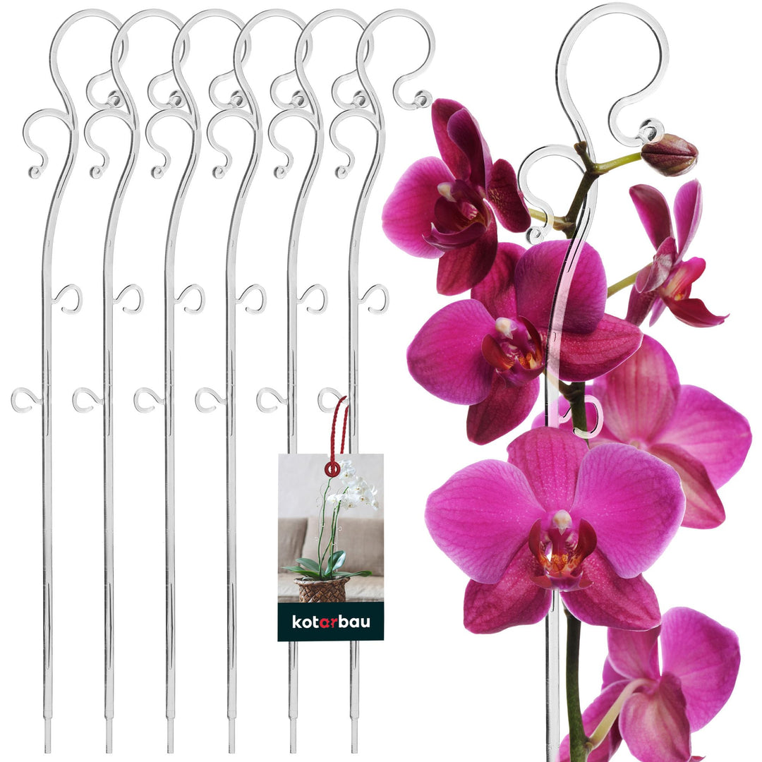 KOTARBAU® 6er Set Pflanzenstütze Transparent PVC 39 cm Blumenstütze Rankhilfe Zimmerpflanzen Blumens