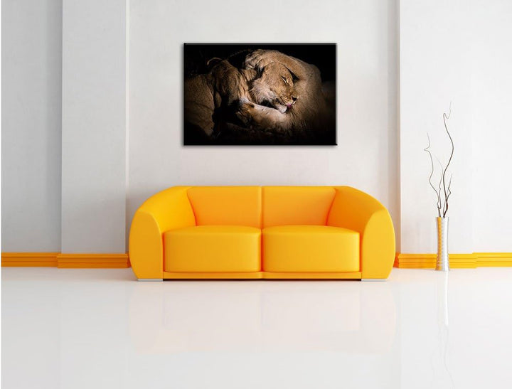 Pixxprint Männer & Frauen Löwe kuscheln, Format: 100x70 auf Leinwand, 100x70