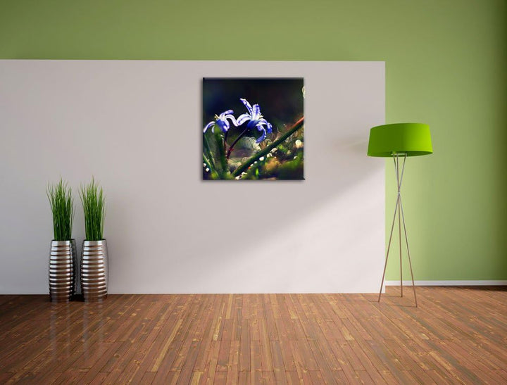 Pixxprint Zarte Lila Wiesenblumen im Morgentau, Format: 70x70 auf Leinwand, 70x70
