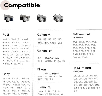 TTArtisan 35mm F1.4 APS-C Kameras Objektiv Manueller Fokus Kameraobjektiv für Canon RF-Mount (Schwar