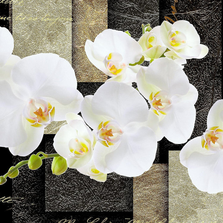 Runa Art - Bilder Blumen Orchidee 200 x 100 cm 5 Teilig XXL Wanddekoration Design Beige Braun 009351