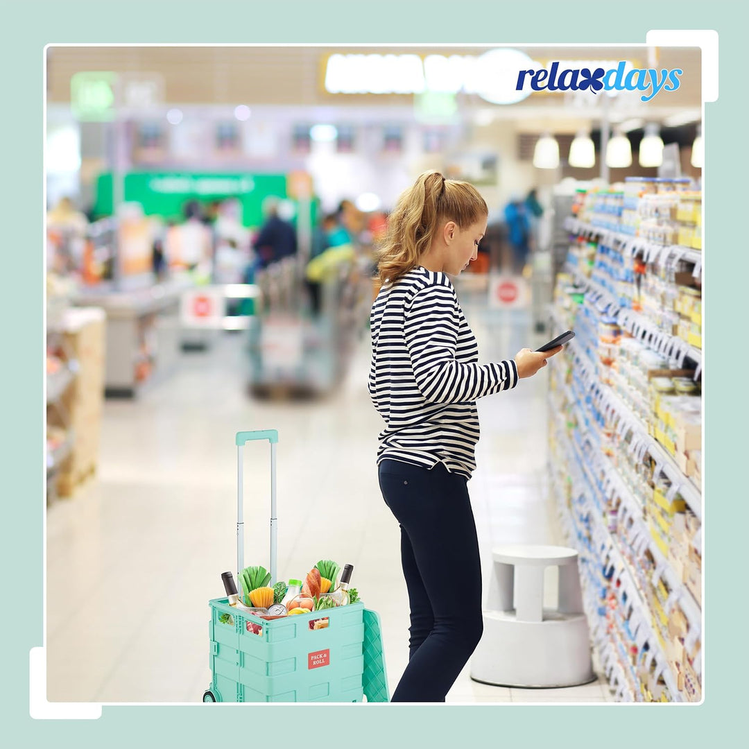 Relaxdays Einkaufstrolley, klappbar, Einkaufskorb mit Rollen, mit Deckel & Teleskopgriff, bis 35 kg,