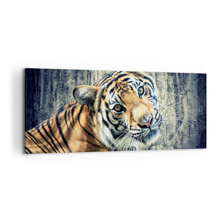 Wandbilder Dekoration Wohnzimmer Indien stein tiger wild Panorama Bilder auf Leinwand 120x50cm Leinw