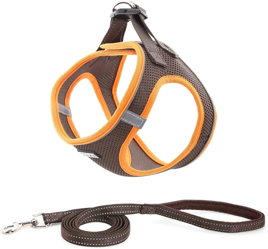 Hundegeschirr mit Leine, Anti Zug Geschirr Reflektierend Brustgeschirr für Kleine Hunde, Haustiere,