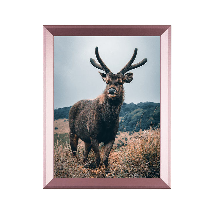 Rahmendesign24 Posterrahmen Rio 42x59,4 (DIN A2) Roségold Fotorahmen, Wechselrahmen, Bilderrahmen, 4