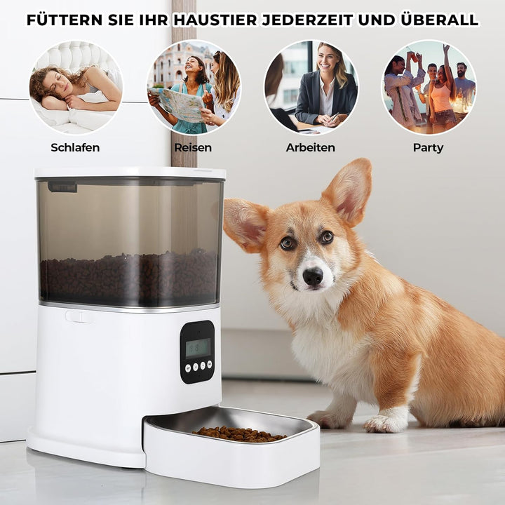 Futterautomat Katze & Hund, 6L Katzenfutter Automat, Automatischer Futterspender mit Futternapf aus