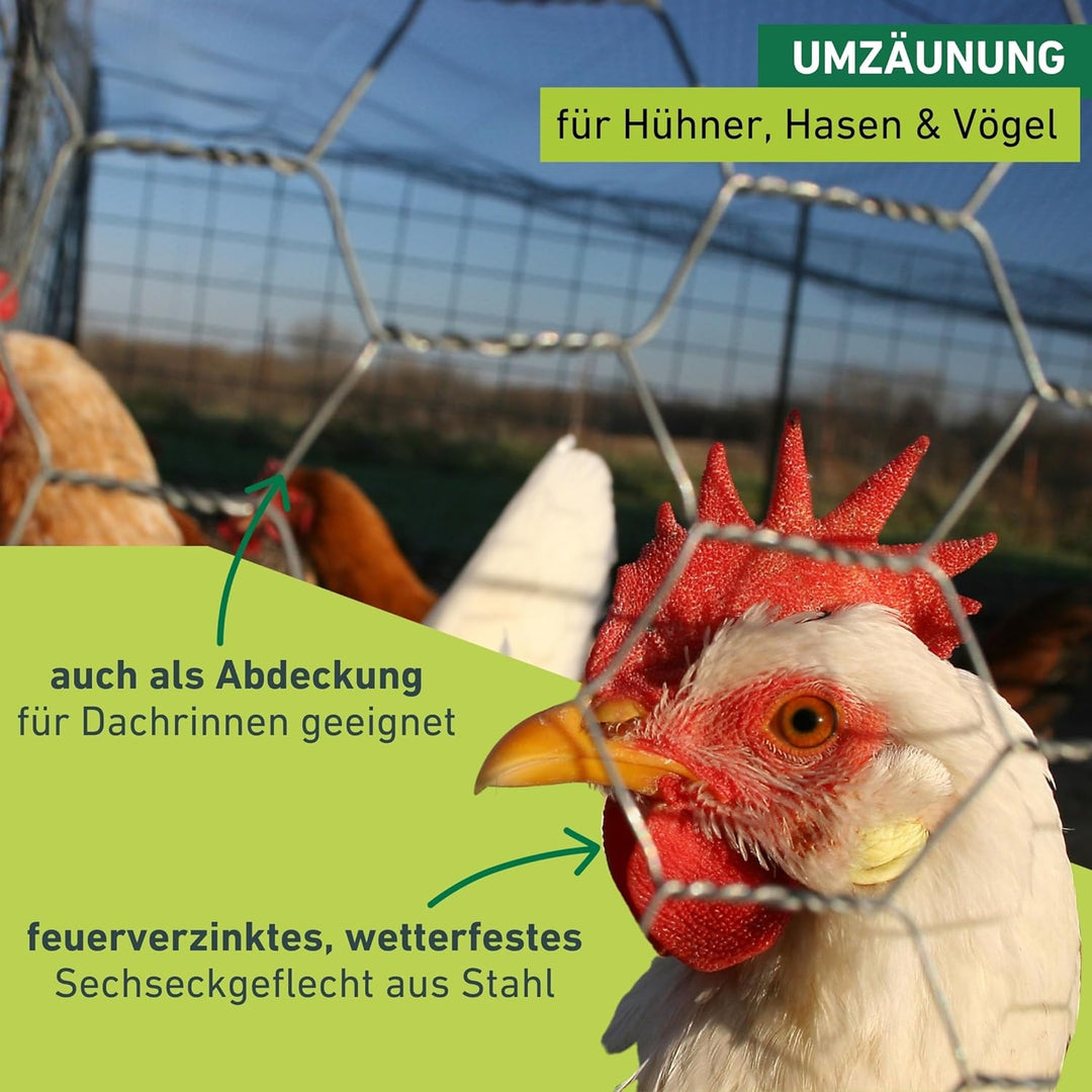 Windhager Kleintiergeflecht verzinkt, 1 x 10 m 10 x 1 m 13 Mm, 10 x 1 m 13 Mm