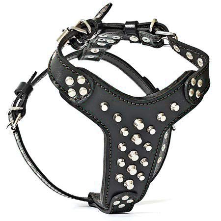 Bestia |Rocky| Leder Brustgeschirr für Bullterrier. 100% Leder. Handgefertigt. Top Qualität S- für e