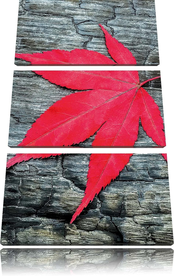 Pixxprint Blatt auf Holz Natur als Leinwandbild/Grösse: 3 Teilig (120x80) cm/Wandbild/Kunstdruck/fer