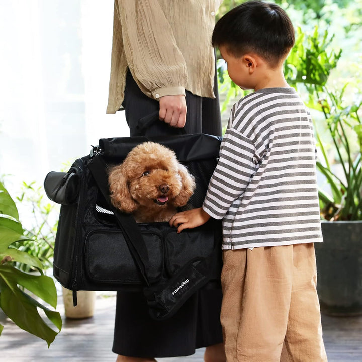 FUKUMARU Transportbox Katze, Faltbare Katzentransportbox, Transportbox Hund mit Reisetasche, Transpo