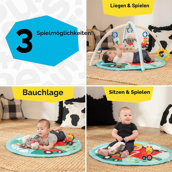 Baby Einstein Farm Explorers Happy Harvest Touch &amp; Feel Aktivitätsspielzeug mit musikalischem Plüsch