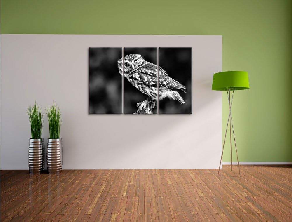 Pixxprint kleine Eule als Leinwandbild/Grösse: 3 Teilig (120x80) cm/Wandbild/Kunstdruck/fertig bespa