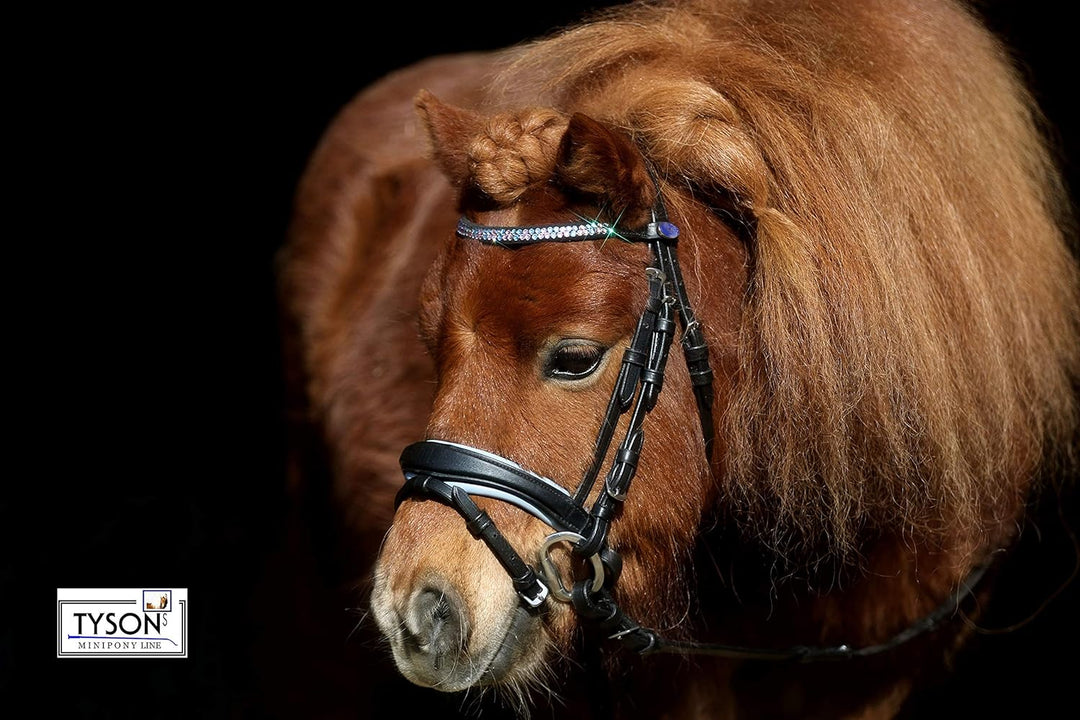 Trense Multi Minishetty Minishetty Rosa Hellblau zu wechseln ergonimisch geschnitten Ledertrense Led