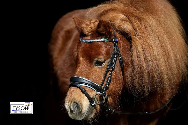 Trense Multi Minishetty Minishetty Rosa Hellblau zu wechseln ergonimisch geschnitten Ledertrense Led
