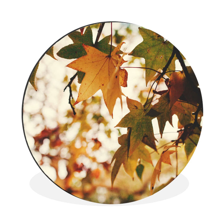 MuchoWow Wandbild Rund Wanddeko Deko Wohnzimmer Bilder 30x30 cm Natur - Herbstblätter - Rustikal, 30