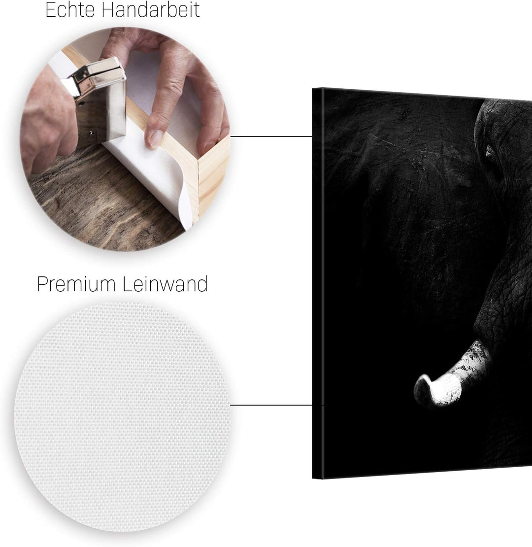 ge Bildet Bild auf Leinwand | Elefant - schwarz weiss in 100x70 cm als Wandbild | Wand-deko Dekorati