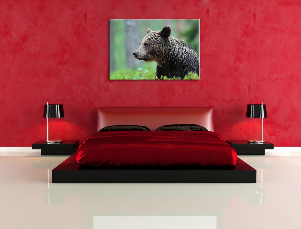Pixxprint Kleiner Bär Format: 100x70 auf Leinwand, XXL riesige Bilder fertig gerahmt mit Keilrahmen,