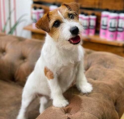 Petuxe Zweiphasiger Conditioner für Haustiere. Vegane Hundespülung. Katzen Conditioner. Alle Rennen.