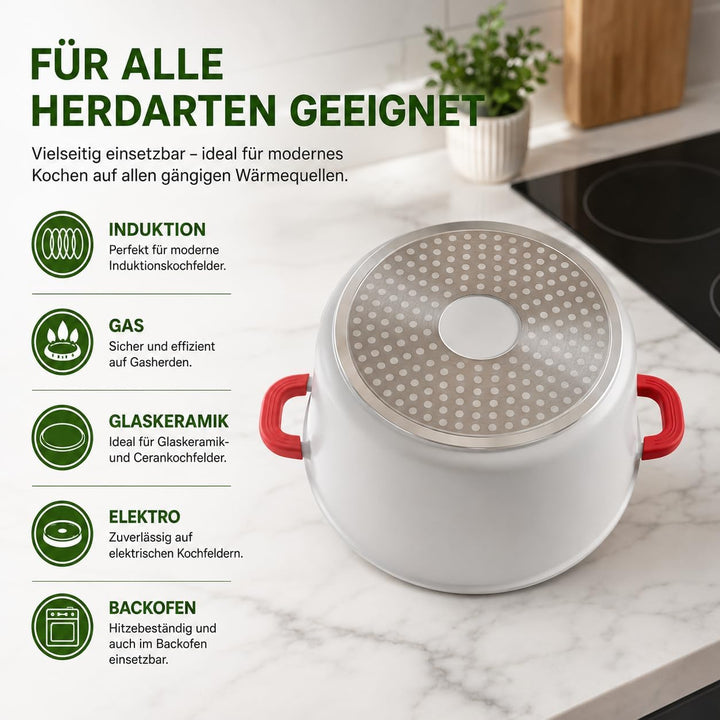 Royal Swiss® Suppentopf Ø24 cm – 6,2 L mit Glasdeckel – Edelstahl & Antihaftbeschichtung – Abnehmbar