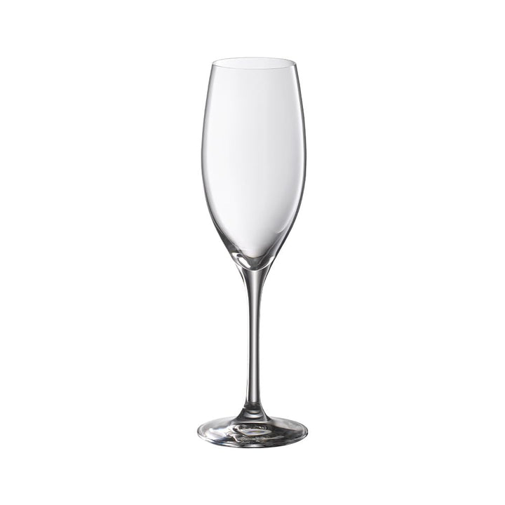 WMF Easy Plus Champagner-/ Sektgläser Set 6-teilig, 250ml, Kristallglas, spülmaschinenfest, transpar