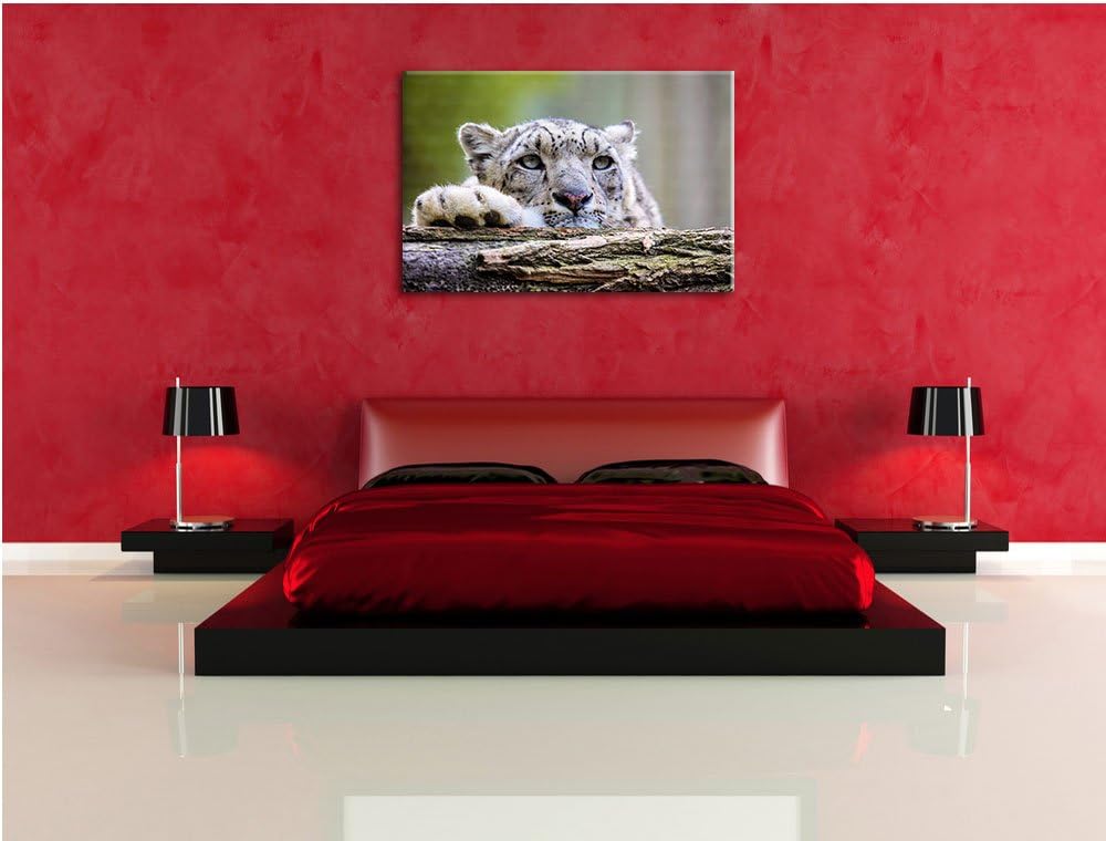 Schöner Leopard, Bild auf Leinwand, XXL riesige Bilder fertig gerahmt mit Keilrahmen, Kunstdruck auf