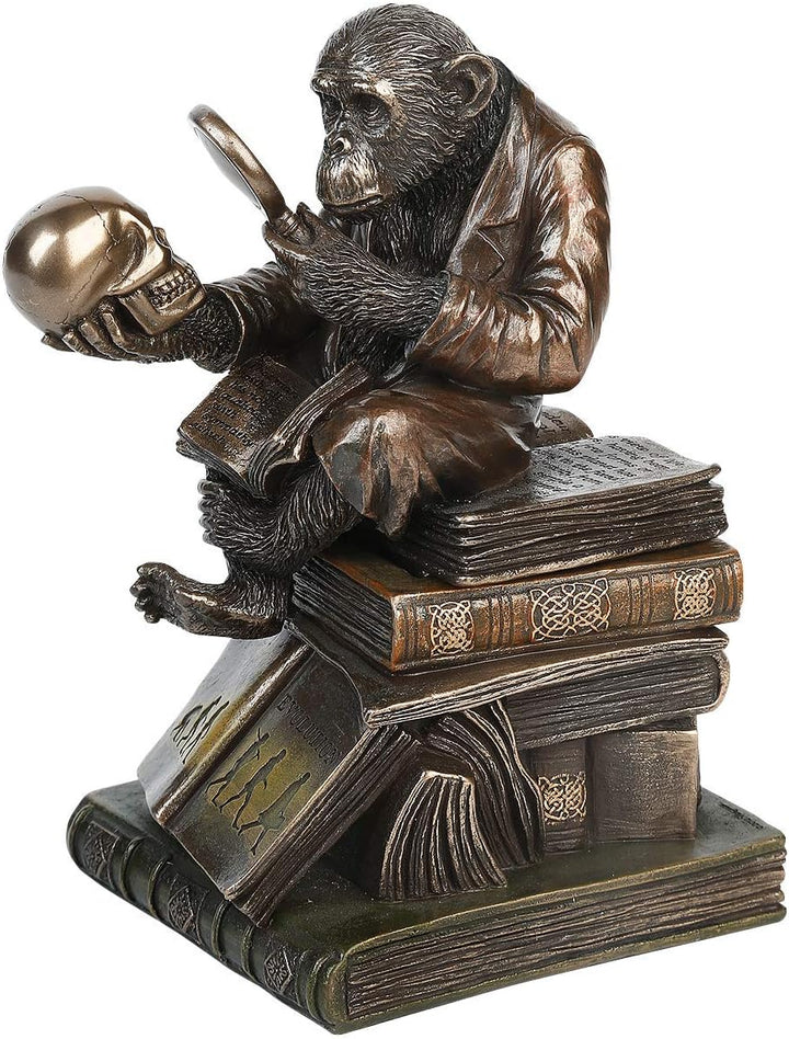 Nemesis Now Darwinism of Evolutionary Theory Box, Bronze, Harz, 17,5 cm