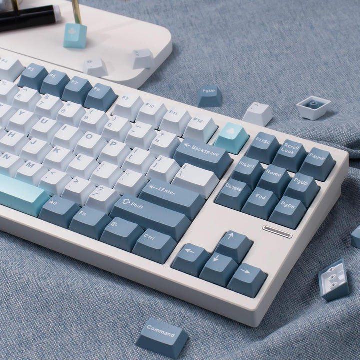 172 Tasten Double Shot Shoko Tastenkappen Cherry Profile Fit for 61/64/87/104/108 Cherry Mx Switches