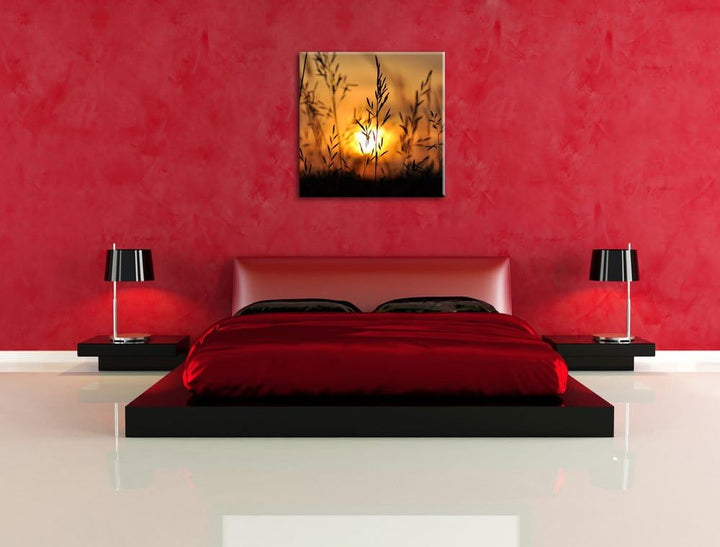 Gras bei Sonnenuntergang, Format: 70x70 auf Leinwand, XXL riesige Bilder fertig gerahmt mit Keilrahm