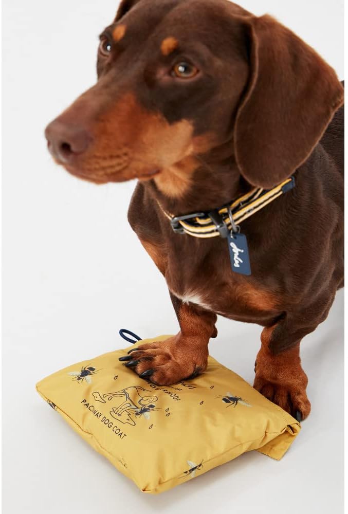 Rosewood Joules Go Lightly Packaway Jacke für Hunde, Grösse S Small, Small