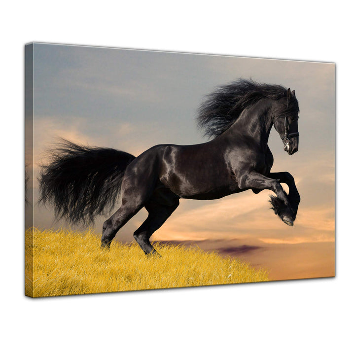 Bilderdepot24 Bild auf Leinwand | Friese in 70x50 cm als Wandbild | Wand-deko Dekoration Wohnung mod
