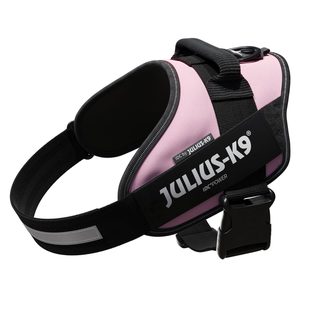 IDC Powergeschirr, Grösse: L/1, Pink Pink L/1, Pink L/1