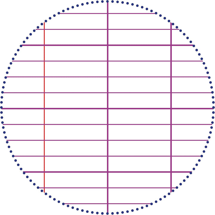 Clairefontaine 3117C - Packung mit 10 Notenheften, ideal für Musikunterricht, DIN A4 21x29,7 cm, 24