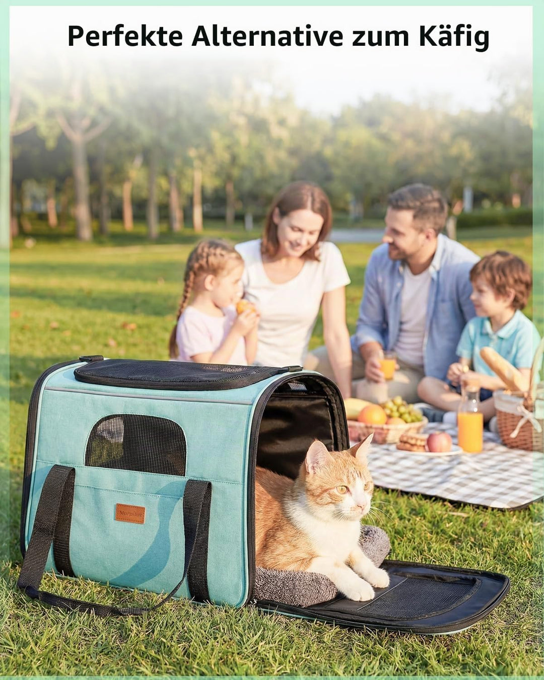 Morpilot Katzentransportbox für grosse Katzen und Welpen Katzenbox Hundetasche mit Sicherheit Reissv