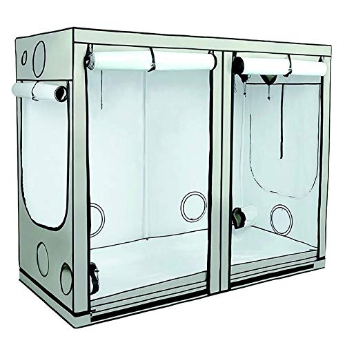 Homebox Ambient R240+ (Masse: 240x120x220cm)