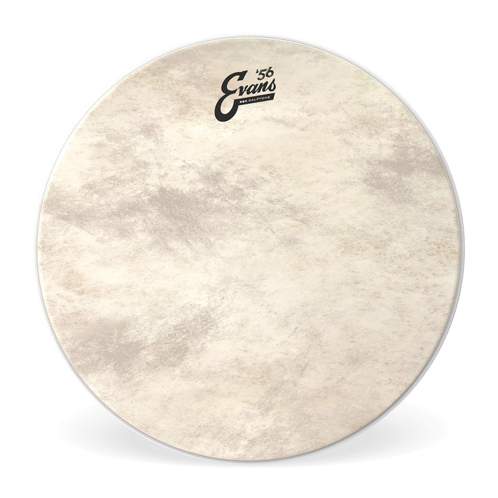 Evans BD24GB4CT Bassdrum Fell 24 Inch, 24 Inch