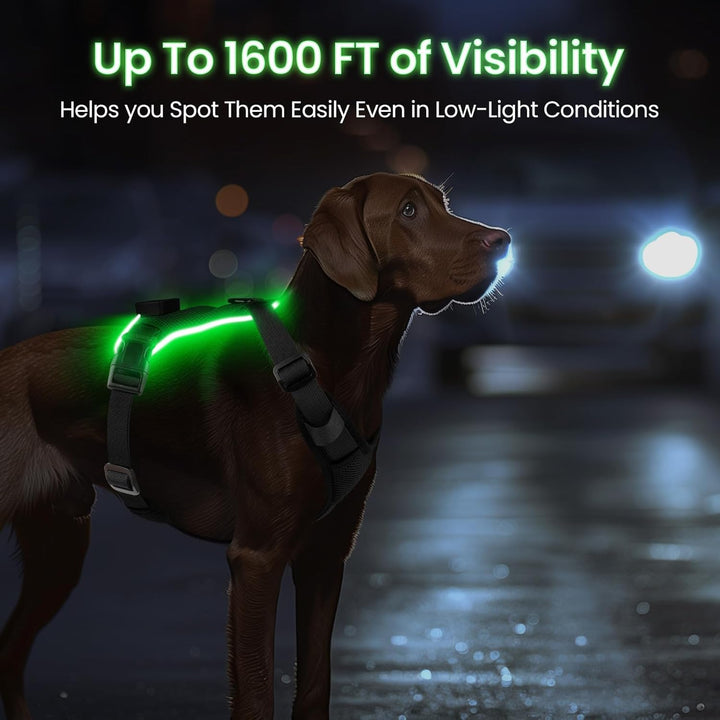 Light Up Dog Hundegeschirr Leuchtend LED Aufladbar - Leuchtgeschirr Leuchtend für Klein Mittelgrosse