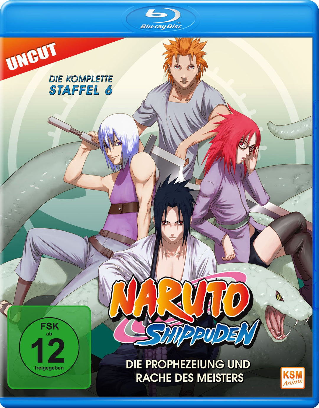 Naruto Shippuden - Staffel 6: Folge 333-363 - Die Prophezeiung und Rache des Meisters (Uncut) [Blu-r