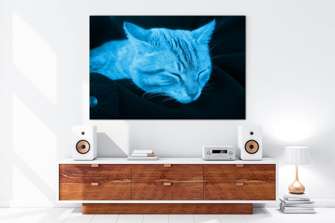 deyoli goldig schlafende Katze Format 80x60 Effekt: Monocrome Blau als Leinwandbild, Motiv fertig ge