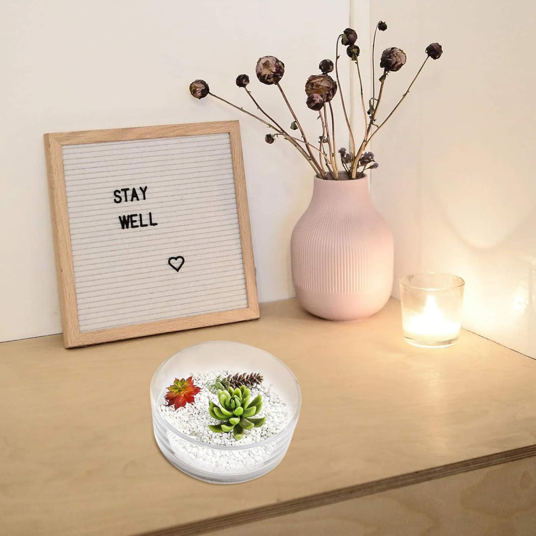 YARNOW Runder Blumentopf Aus Glas Dekorative Herzstückvase Terrarienpflanzvase Rustikal Hydroponisch