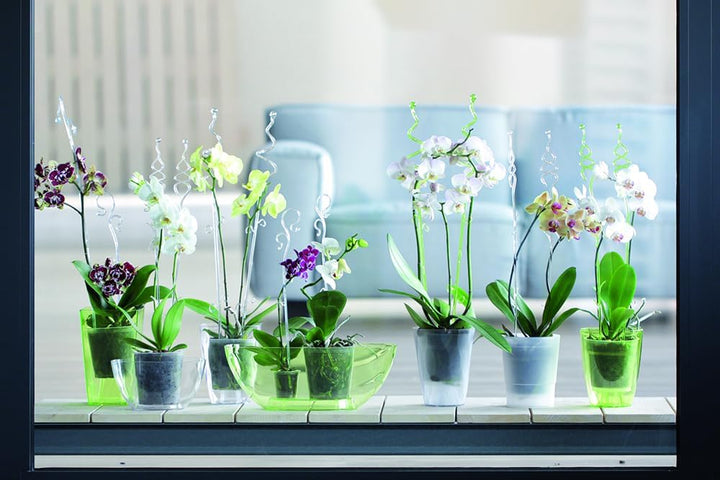 Tymar Orchideenstab, Orchideenunterstützung Kunststoff (58,5 cm, Transparent-Spiral) 58,5 cm Transpa