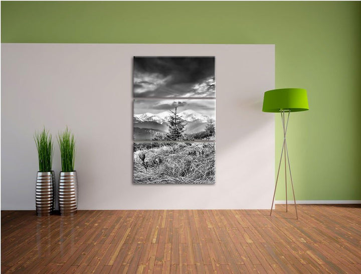 Pixxprint Monocrome, Krokusse auf Hochalmwiese in Alpen 3-Teiler Leinwandbild 120x80 Bild auf Leinwa
