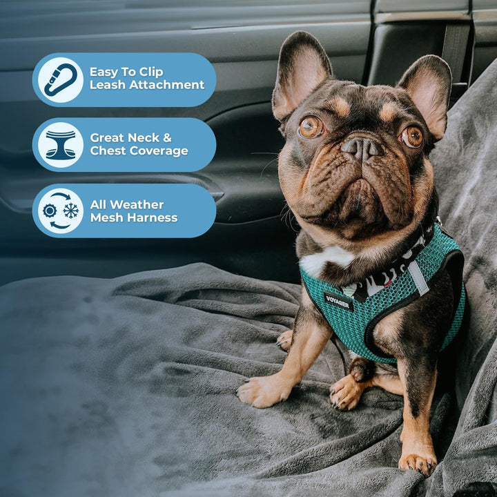 Voyager Step-in-Air-Hundegeschirr, Allwetter-Netz-Hundegeschirr für kleine und mittelgrosse Hunde, v