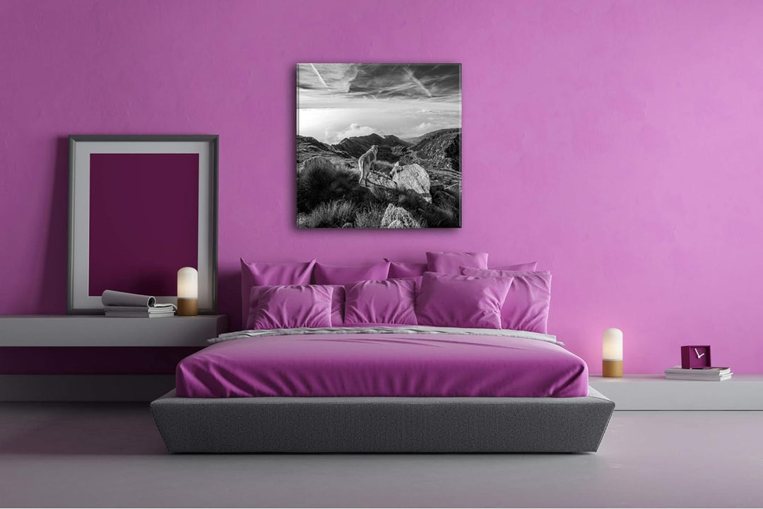 Hund auf einen Berg über den Wolken Format: 60x60 Effekt: Schwarz&Weiss als Leinwandbild, Motiv auf