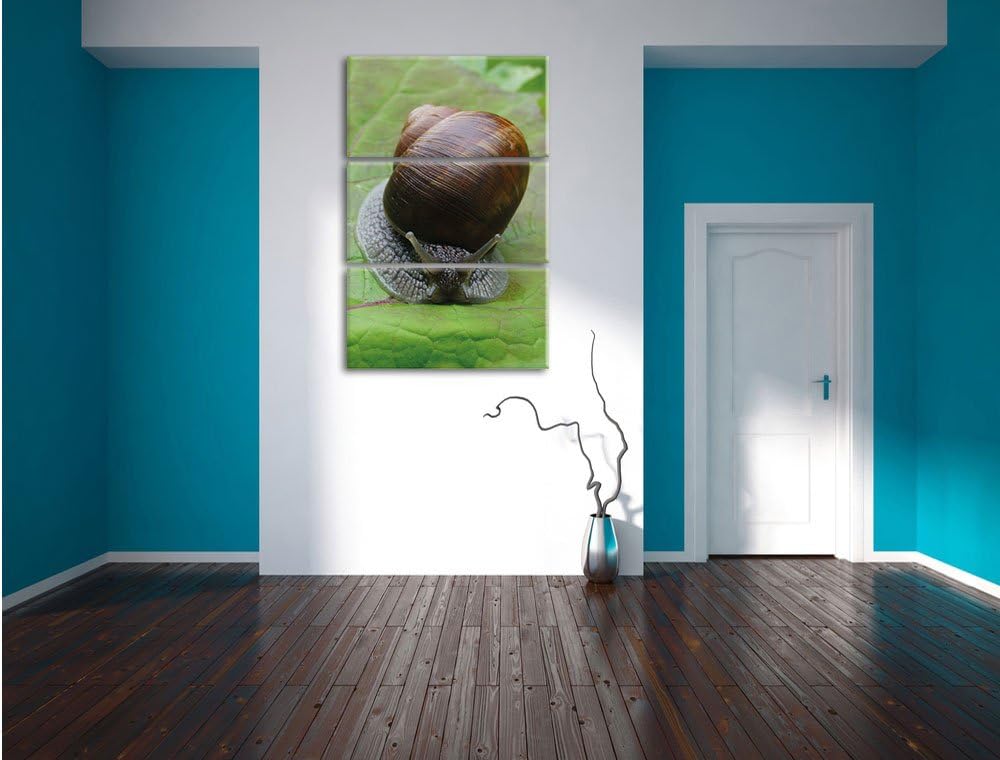 Pixxprint Weinbergschnecke auf Blatt 3-Teiler Leinwandbild 120x80 Bild auf Leinwand