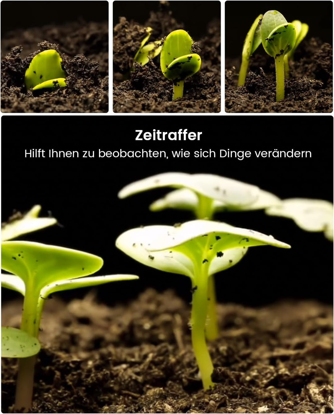 usogood Wildkamera 4K 48MP 30 fps mit Nachtsicht, Bewegungserkennung und Batterie 8 AA + 32 GB, wass