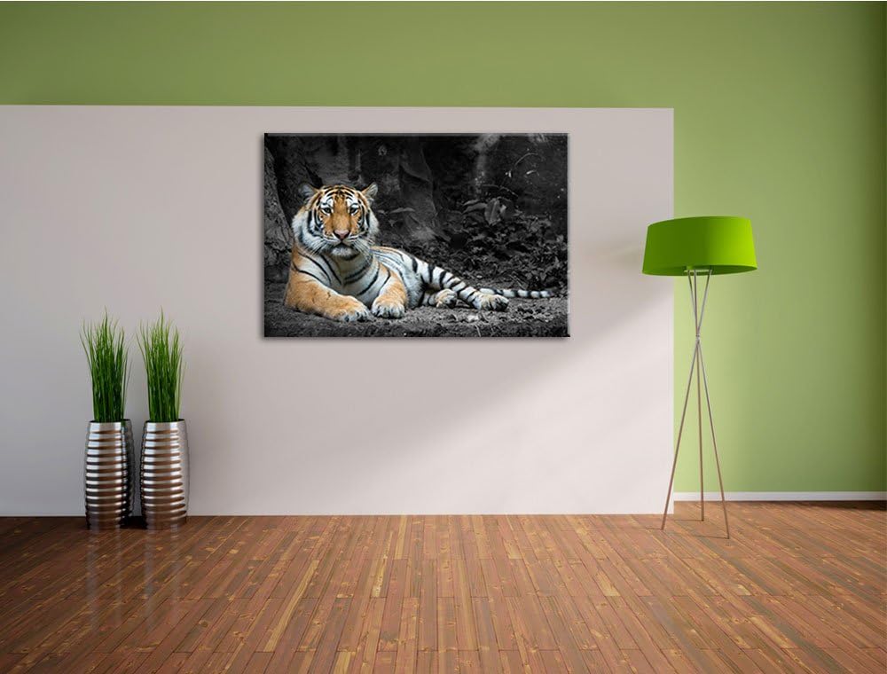 ruhender Löwe schwarz/weiss Format: 100x70 auf Leinwand, XXL riesige Bilder fertig gerahmt mit Keilr